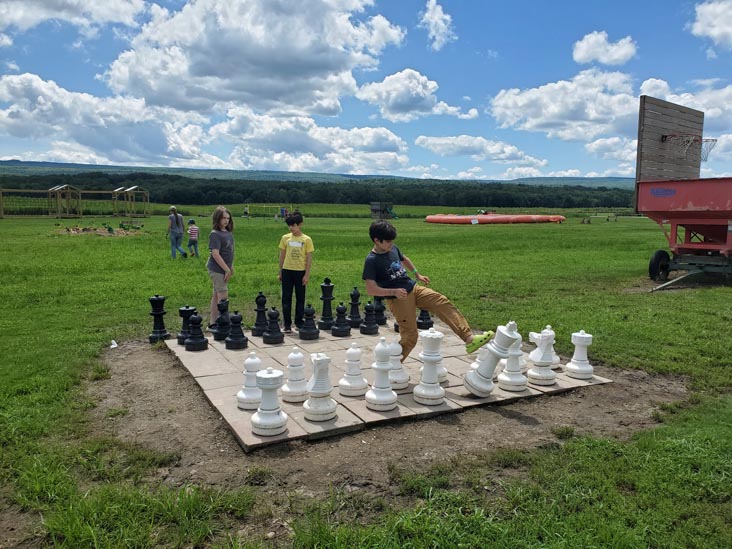 Giant Chess, Kelder's Farm, Kerhonkson, New York, August 1, 2023