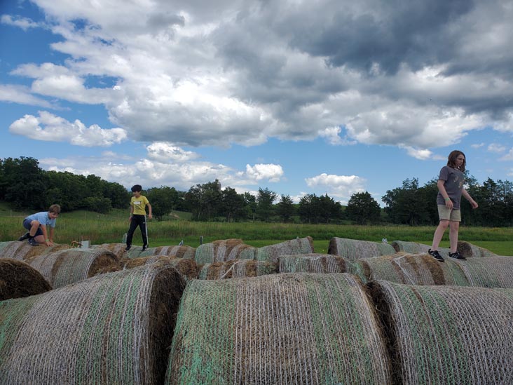 Hay Mountain, Kelder's Farm, Kerhonkson, New York, August 1, 2023