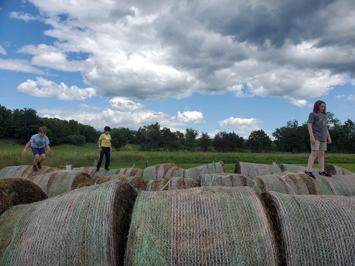 Hay Mountain, Kelder's Farm, Kerhonkson, New York, August 1, 2023