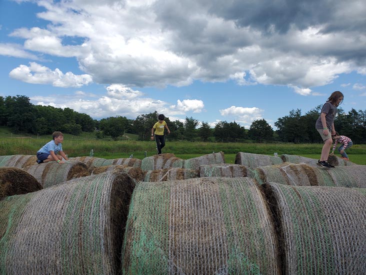 Hay Mountain, Kelder's Farm, Kerhonkson, New York, August 1, 2023