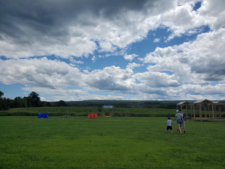 Kelder's Farm, Kerhonkson, New York, August 1, 2023