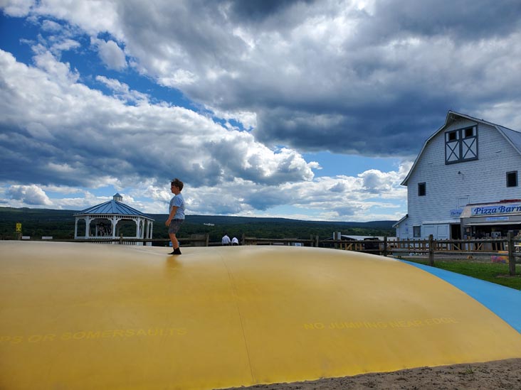 Jumping Pillow, Kelder's Farm, Kerhonkson, New York, August 1, 2023