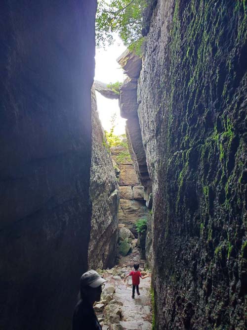 Sam's Point, Minnewaska State Park Preserve, Ulster County, New York, August 2, 2023