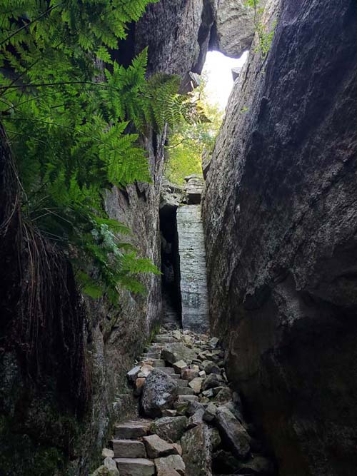 Sam's Point, Minnewaska State Park Preserve, Ulster County, New York, August 2, 2023