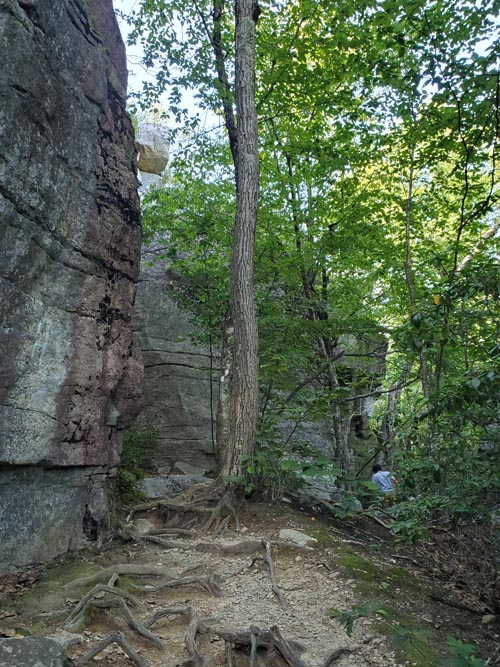 Sam's Point, Minnewaska State Park Preserve, Ulster County, New York, August 2, 2023