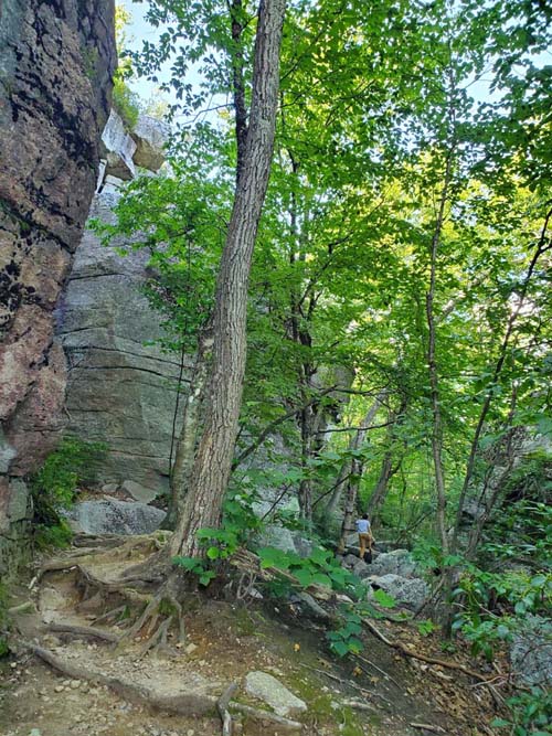 Sam's Point, Minnewaska State Park Preserve, Ulster County, New York, August 2, 2023