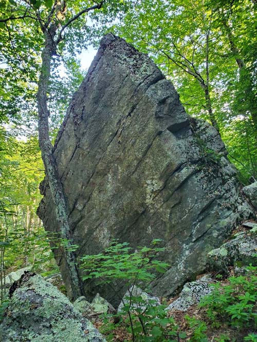 Sam's Point, Minnewaska State Park Preserve, Ulster County, New York, August 2, 2023