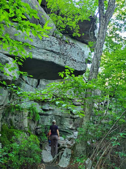 Sam's Point, Minnewaska State Park Preserve, Ulster County, New York, August 2, 2023