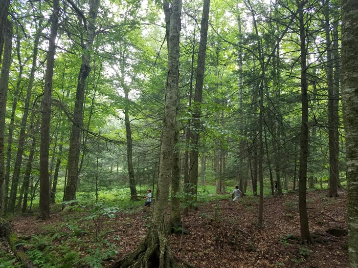 Minnewaska State Park Preserve, Ulster County, New York, August 6, 2019