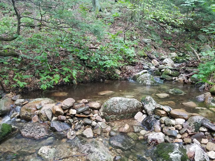 North Gully, Minnewaska State Park Preserve, Ulster County, New York, August 6, 2019