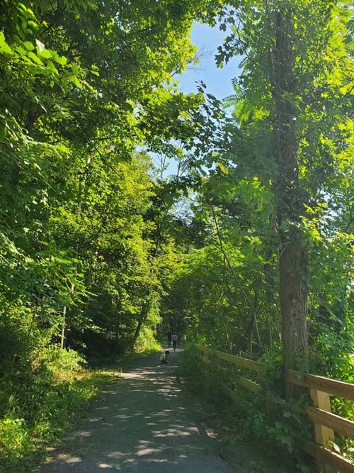 Wallkill Valley Rail Trail Near Rosendale Trestle, Rosendale, New York, July 19, 2024