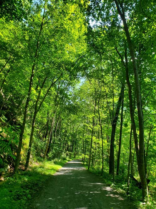 Wallkill Valley Rail Trail Near Rosendale Trestle, Rosendale, New York, July 19, 2024