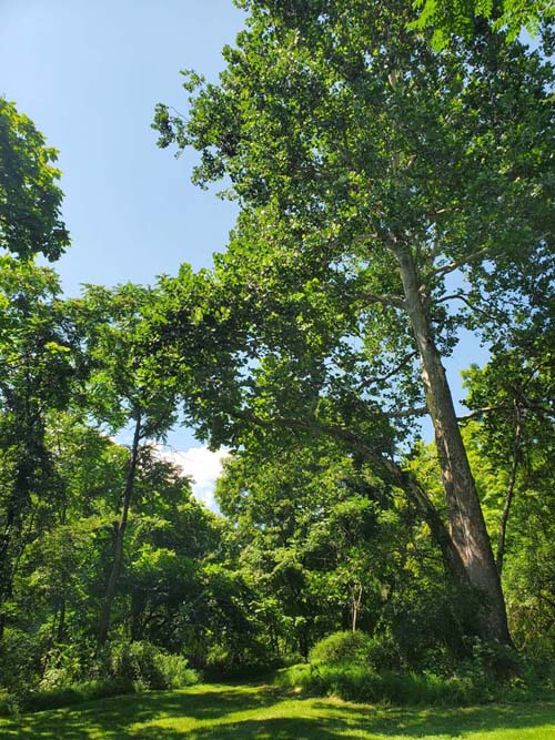Snyder Estate, Rosendale, New York, July 19, 2024