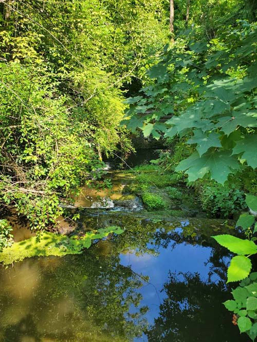Snyder Estate, Rosendale, New York, July 19, 2024