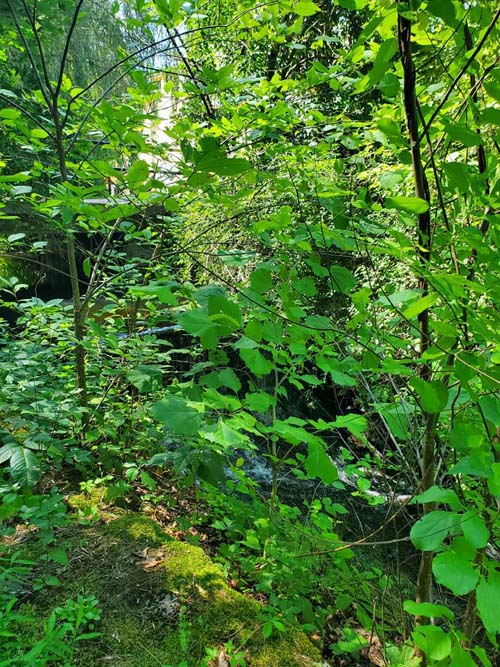 Snyder Estate, Rosendale, New York, July 19, 2024