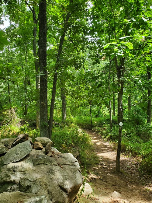 Hardscrabble Wilderness Area, Briarcliff Manor, New York, August 10, 2022