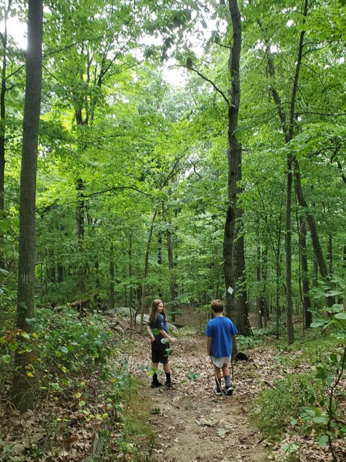 Hardscrabble Wilderness Area, Briarcliff Manor, New York, August 10, 2022