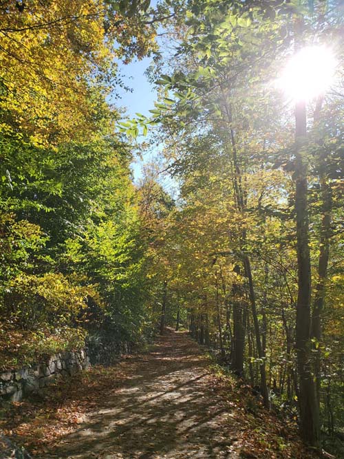 Old Croton Aqueduct Trail, Croton-on-Hudson, New York, October 17, 2020