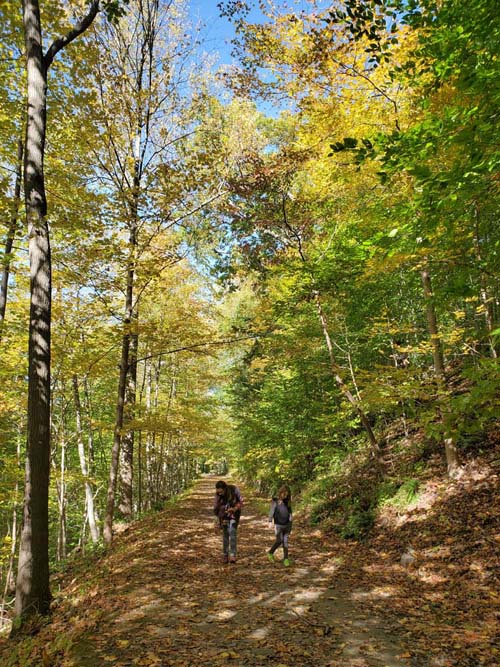 Old Croton Aqueduct Trail, Croton-on-Hudson, New York, October 17, 2020
