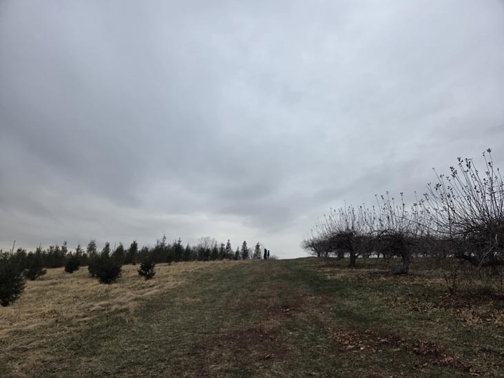 Stuart's Farm, Granite Springs, New York, December 13, 2025