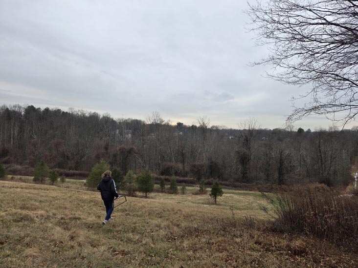 Stuart's Farm, Granite Springs, New York, December 13, 2025