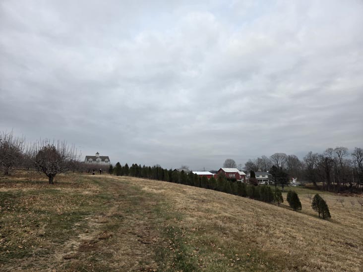 Stuart's Farm, Granite Springs, New York, December 13, 2025