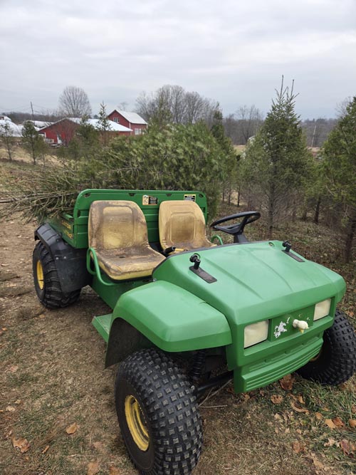 Christmas Tree, Stuart's Farm, Granite Springs, New York, December 13, 2025