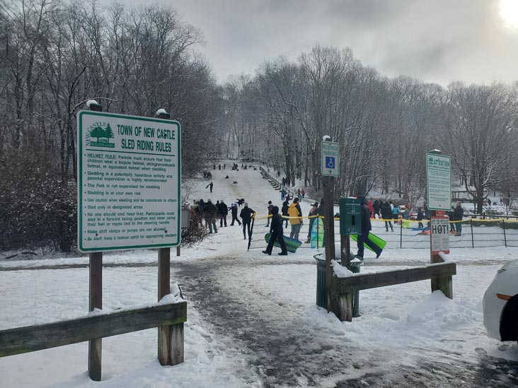 Gedney Park, Millwood, New York, January 7, 2024