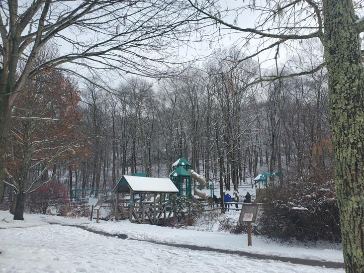 Gedney Park, Millwood, New York, January 7, 2024