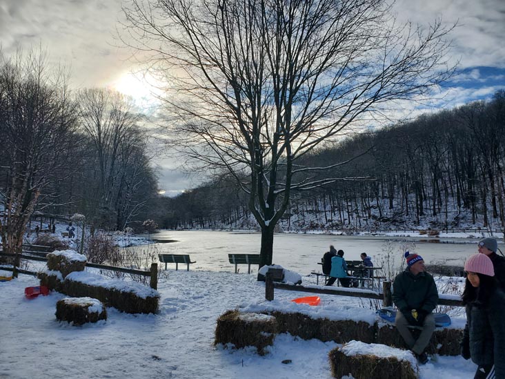 Gedney Park, Millwood, New York, January 7, 2024