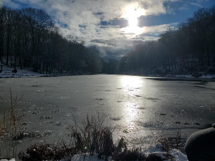 Gedney Park, Millwood, New York, January 7, 2024