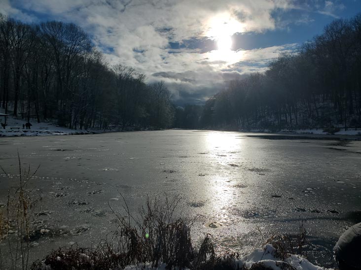 Gedney Park, Millwood, New York, January 7, 2024