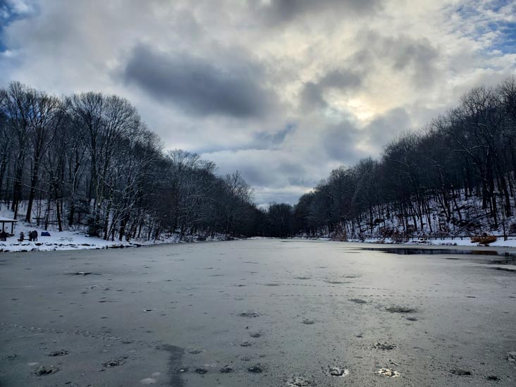 Gedney Park, Millwood, New York, January 7, 2024