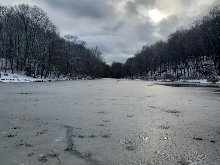 Gedney Park, Millwood, New York, January 7, 2024