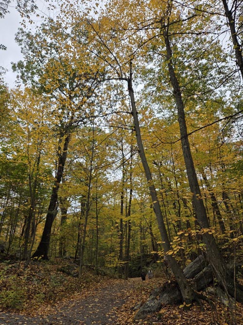 Cranberry Lake Preserve, North White Plains, New York, October 12, 2025