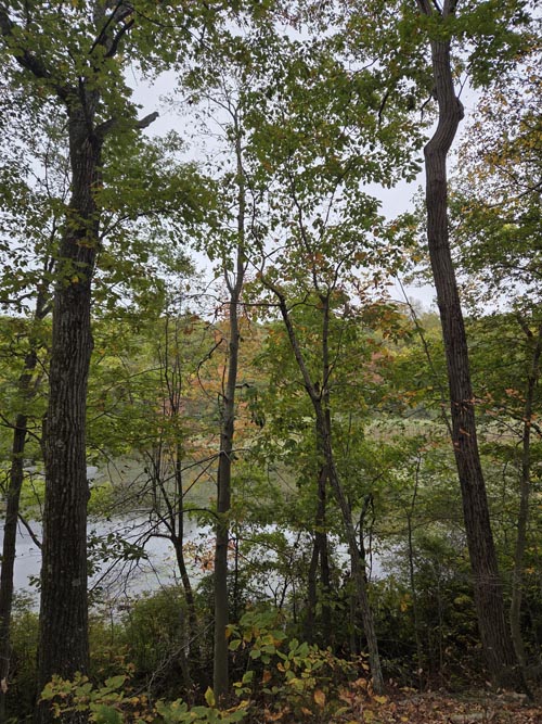 Cranberry Lake Preserve, North White Plains, New York, October 12, 2025