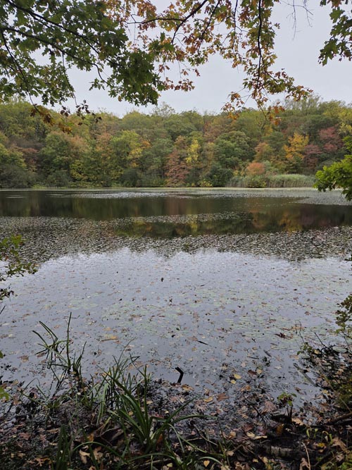 Cranberry Lake, Cranberry Lake Preserve, North White Plains, New York, October 12, 2025