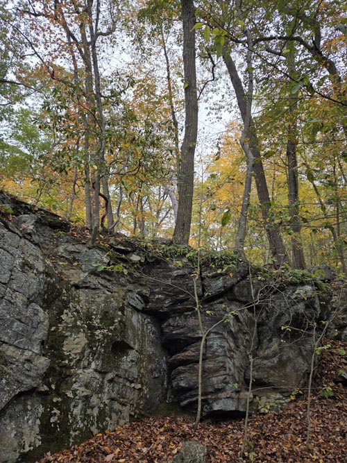 Cranberry Lake Preserve, North White Plains, New York, October 12, 2025