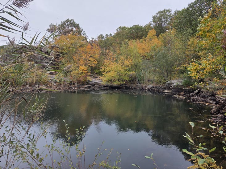 Cranberry Lake Preserve, North White Plains, New York, October 12, 2025