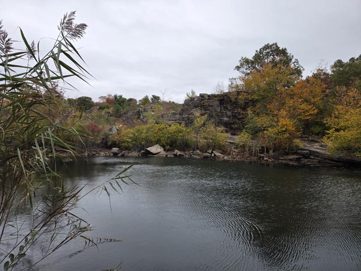 Cranberry Lake Preserve, North White Plains, New York, October 12, 2025