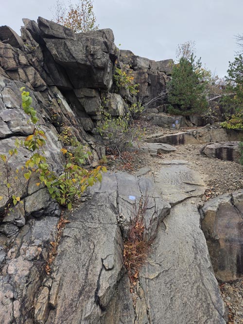 Cranberry Lake Preserve, North White Plains, New York, October 12, 2025