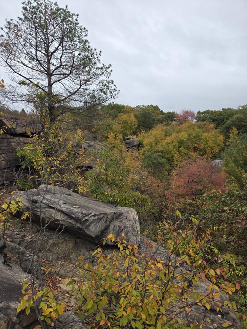 Cranberry Lake Preserve, North White Plains, New York, October 12, 2025
