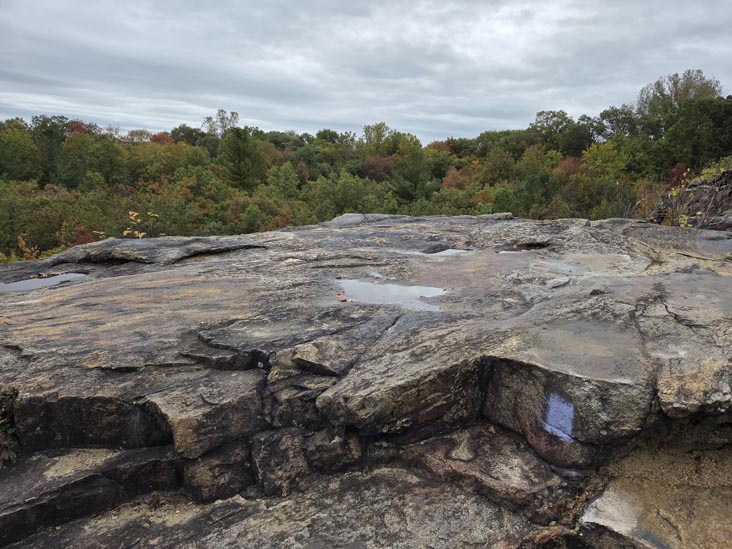 Cranberry Lake Preserve, North White Plains, New York, October 12, 2025