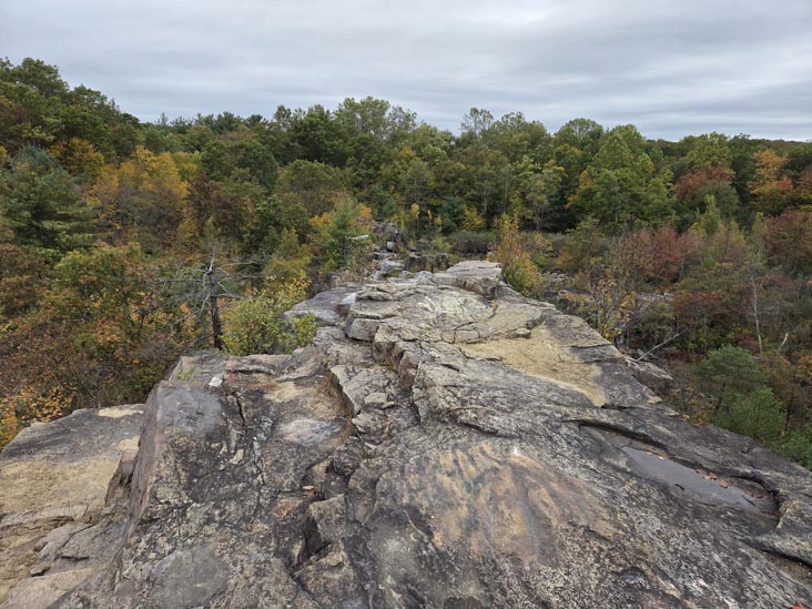 Cranberry Lake Preserve, North White Plains, New York, October 12, 2025