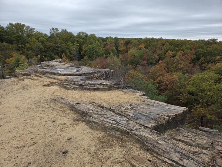 Cranberry Lake Preserve, North White Plains, New York, October 12, 2025