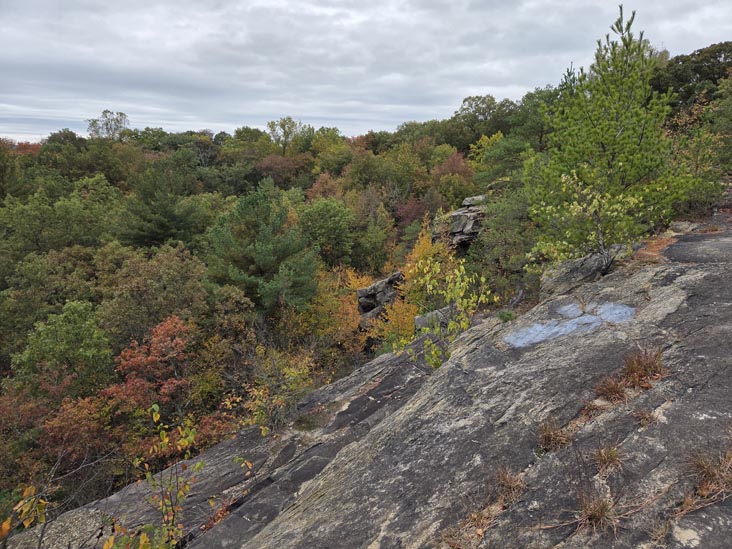 Cranberry Lake Preserve, North White Plains, New York, October 12, 2025