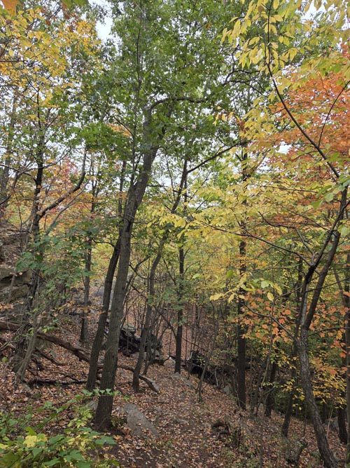 Cranberry Lake Preserve, North White Plains, New York, October 12, 2025