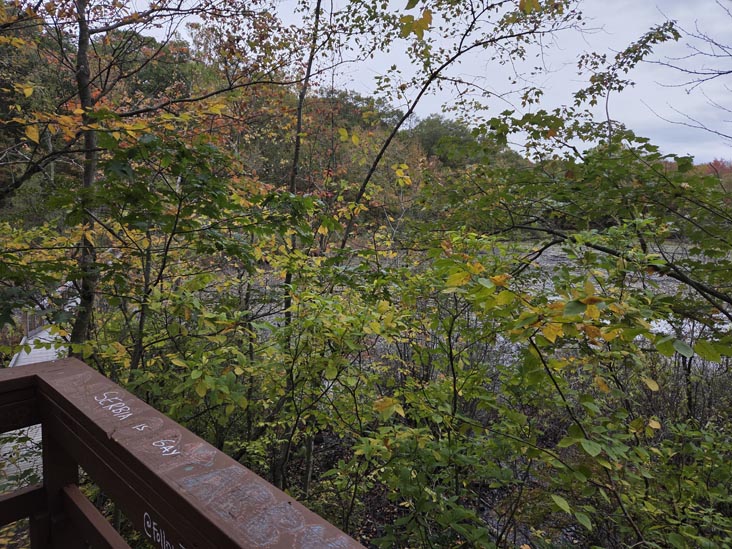 Cranberry Lake Preserve, North White Plains, New York, October 12, 2025