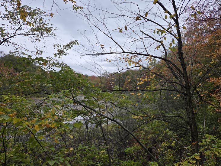 Cranberry Lake Preserve, North White Plains, New York, October 12, 2025