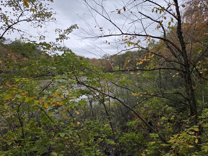 Cranberry Lake Preserve, North White Plains, New York, October 12, 2025